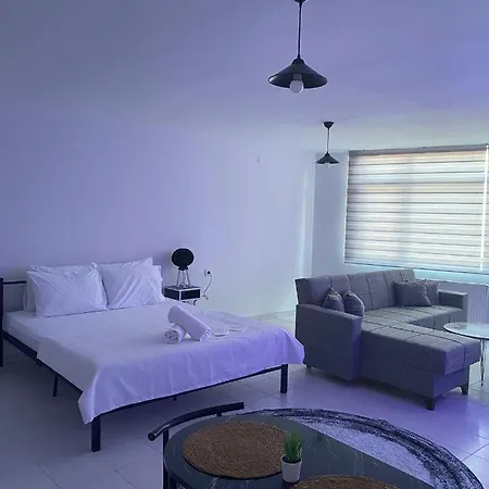 No19 Pendik Istanbul
